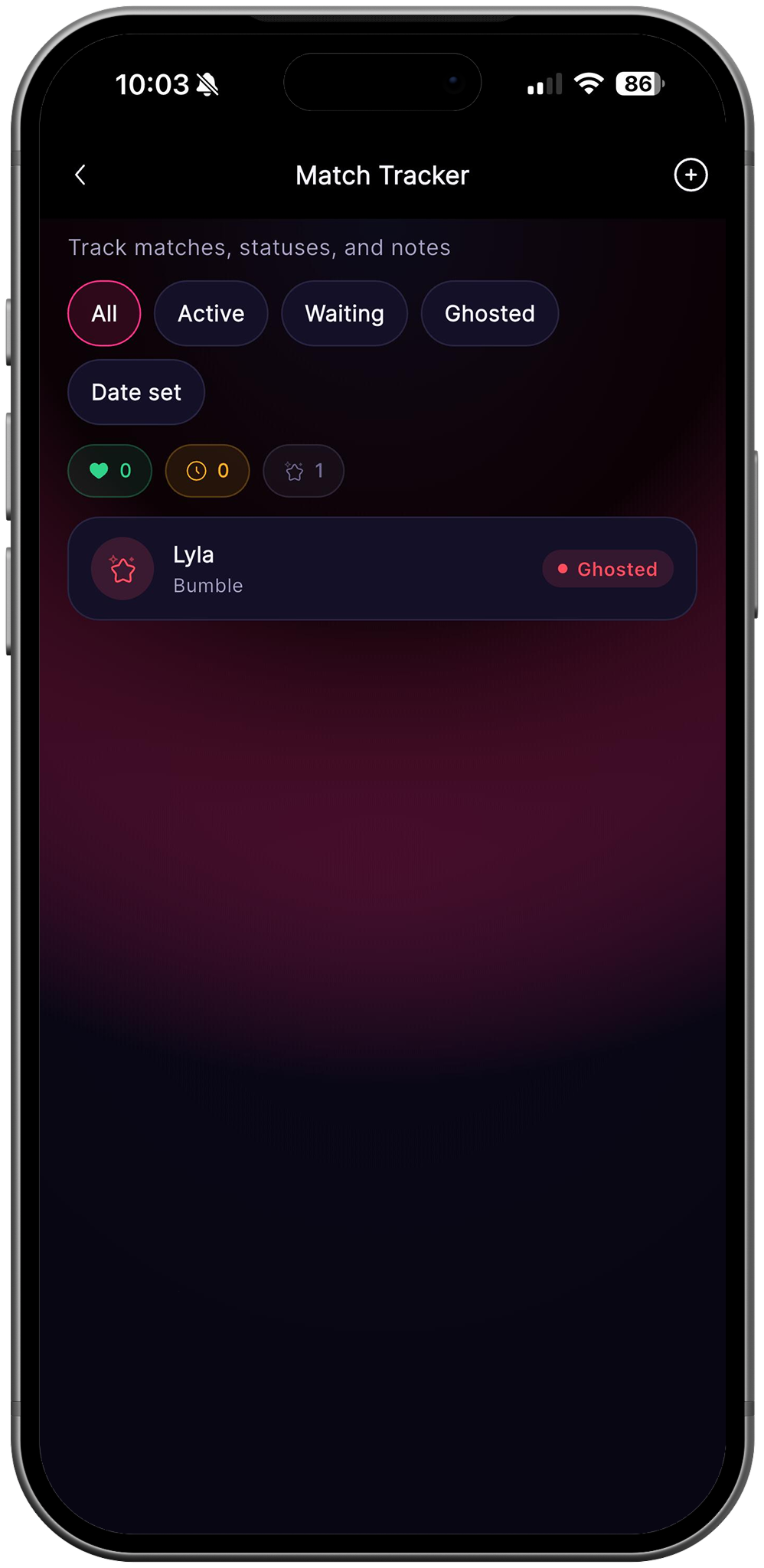 RizzDate Match Tracker listing dating matches and conversation status